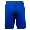 PE Short - royal